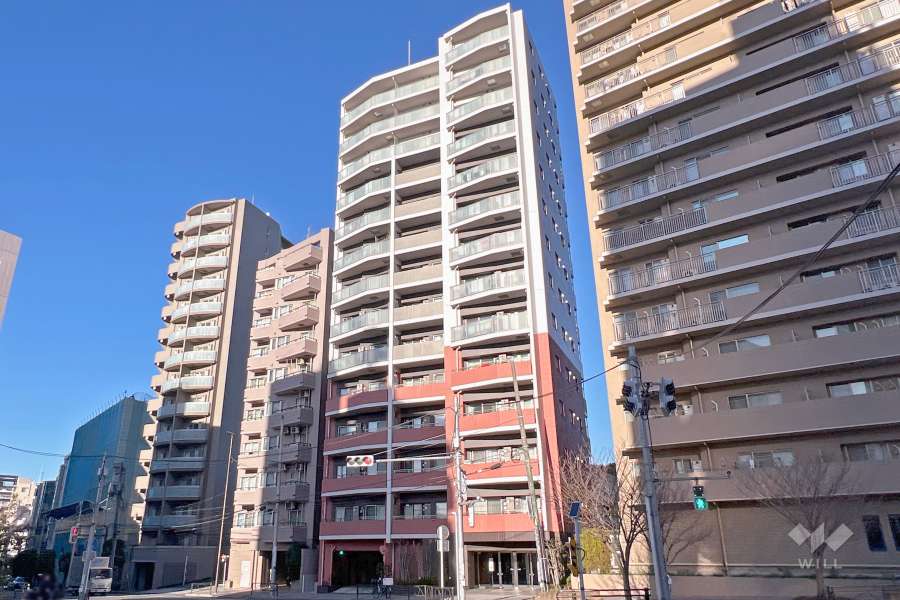 シェフルール文京茗荷谷の外観（南西側から）