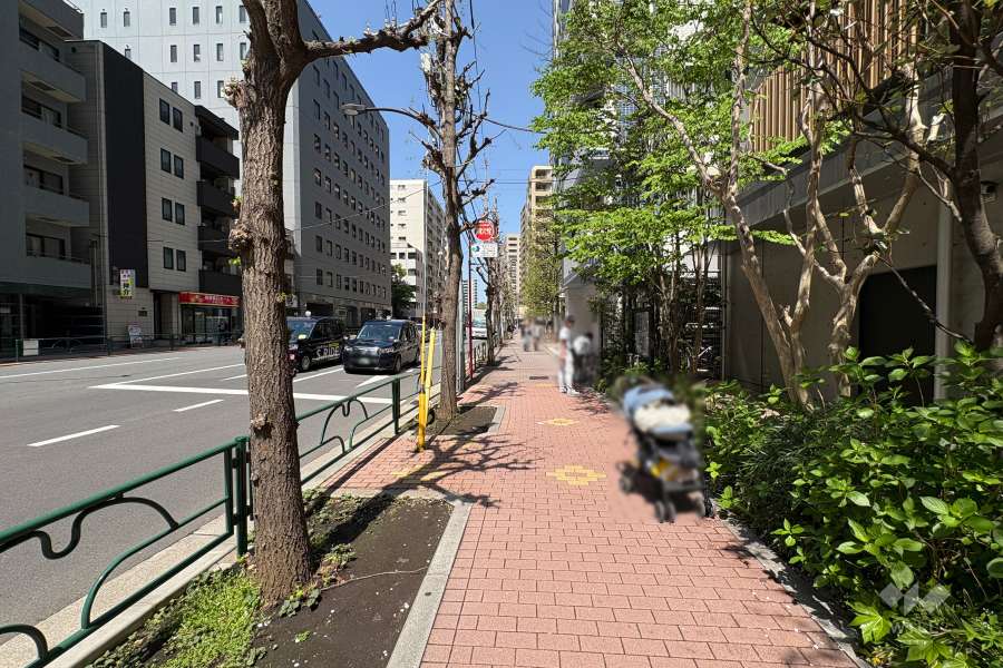 敷地西側の前面道路