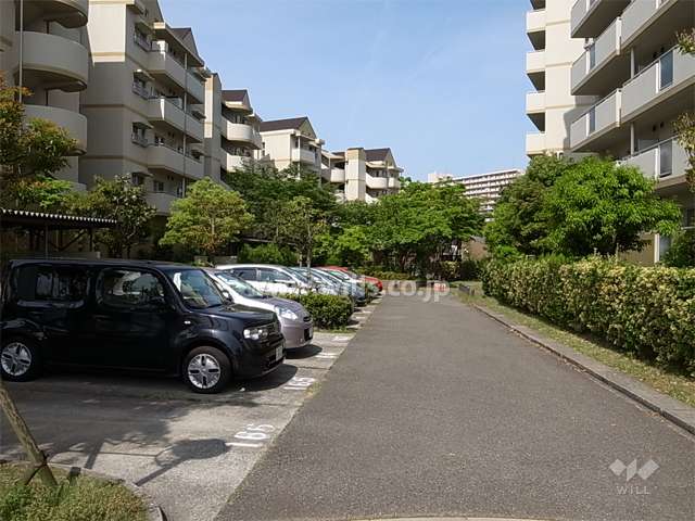 敷地内駐車場（平面式）
