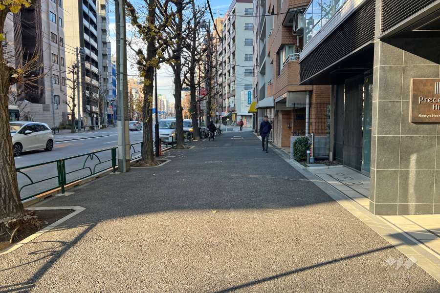 敷地の西側前面道路（南側から）