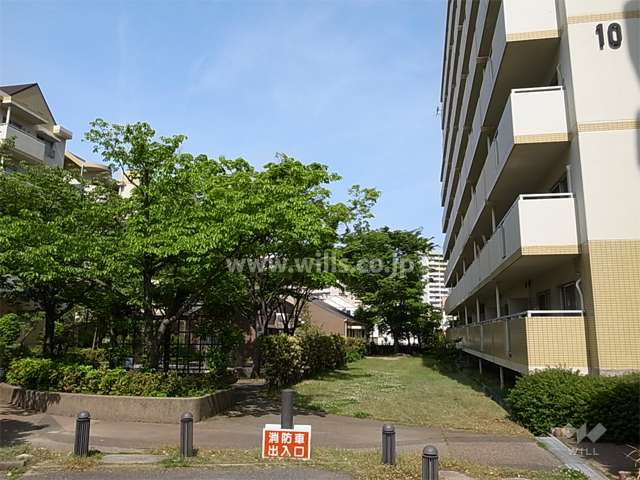 10号棟の南側には緑豊かな広場があります。