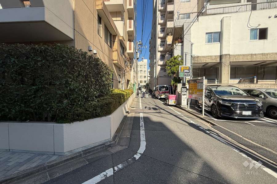 敷地の東側前面道路（南側から）