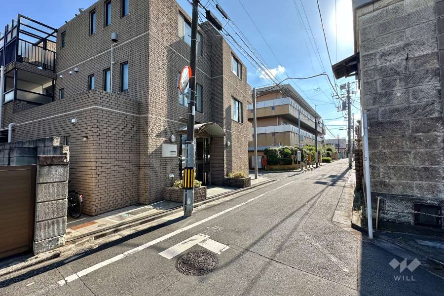 敷地の西側前面道路（北側から）