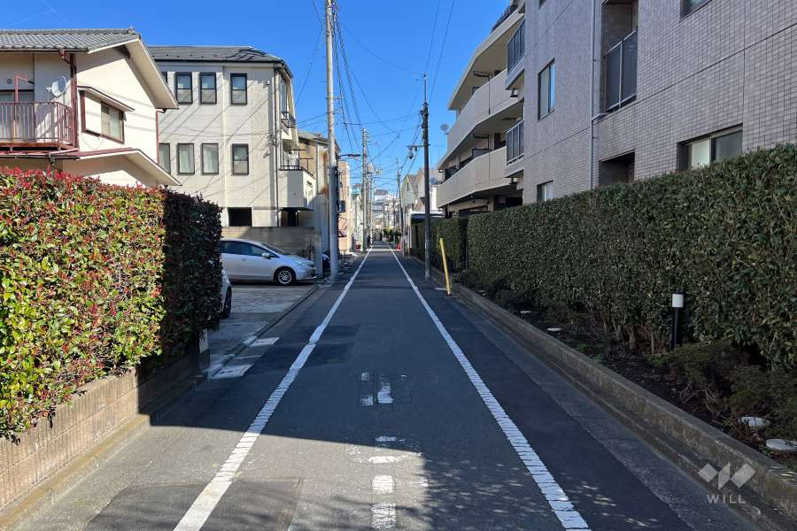 敷地の西側前面道路（南側から）