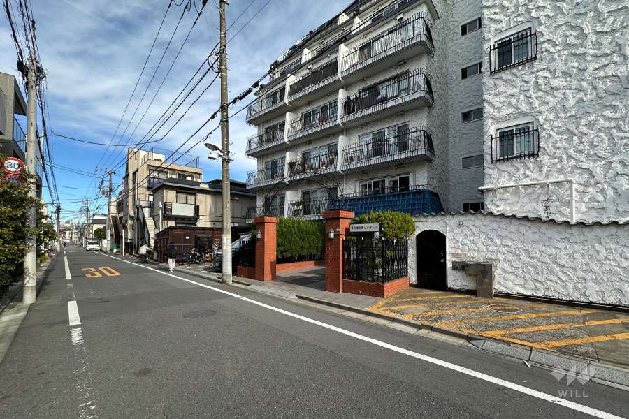 敷地の西側前面道路（南側から）