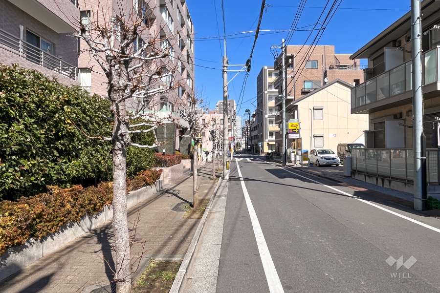 敷地東側の前面道路（南側から）