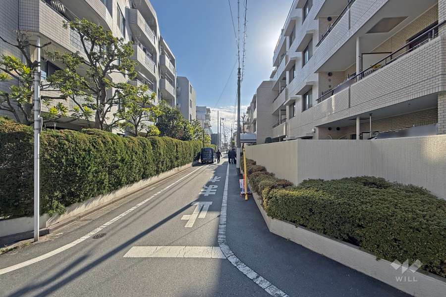 敷地の北東側前面道路（北西側から）