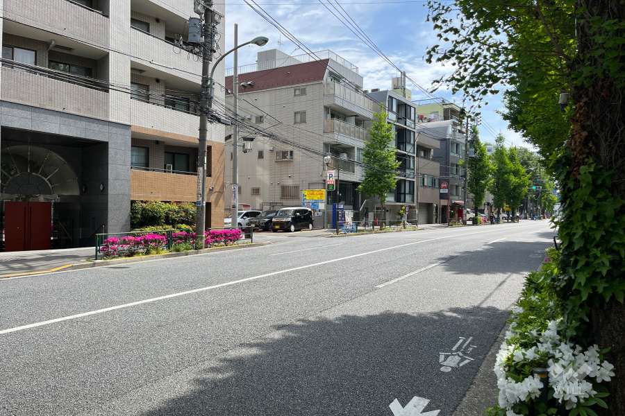 敷地の南西側前面道路（北西側から）