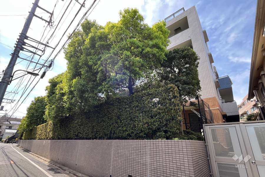 クレッセント目白の外観（北側から）