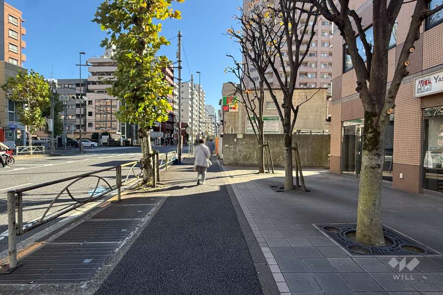 敷地の北東側前面道路（北西側から）
