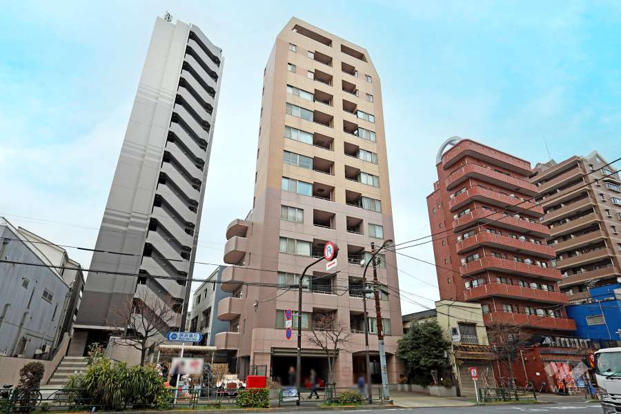 サンクタス池袋ベルマージュの外観（南東側から）