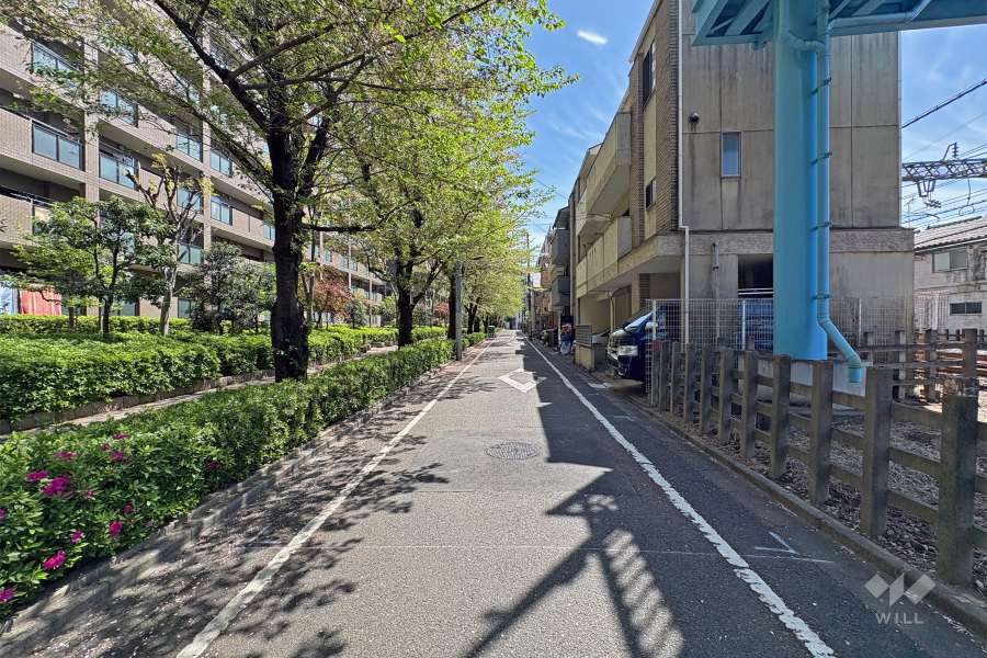 南西側前面道路（北西側から）