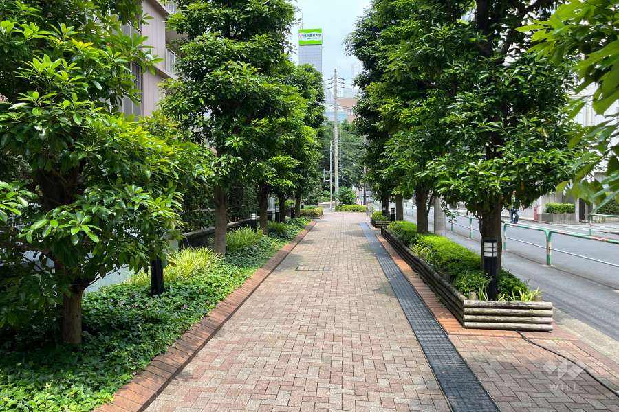 敷地内遊歩道