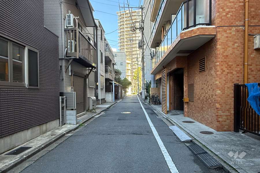 敷地の北西側前面道路（南西側から）
