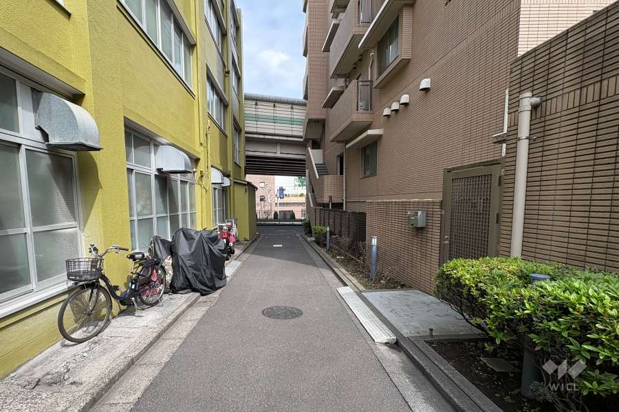 敷地北側の前面道路