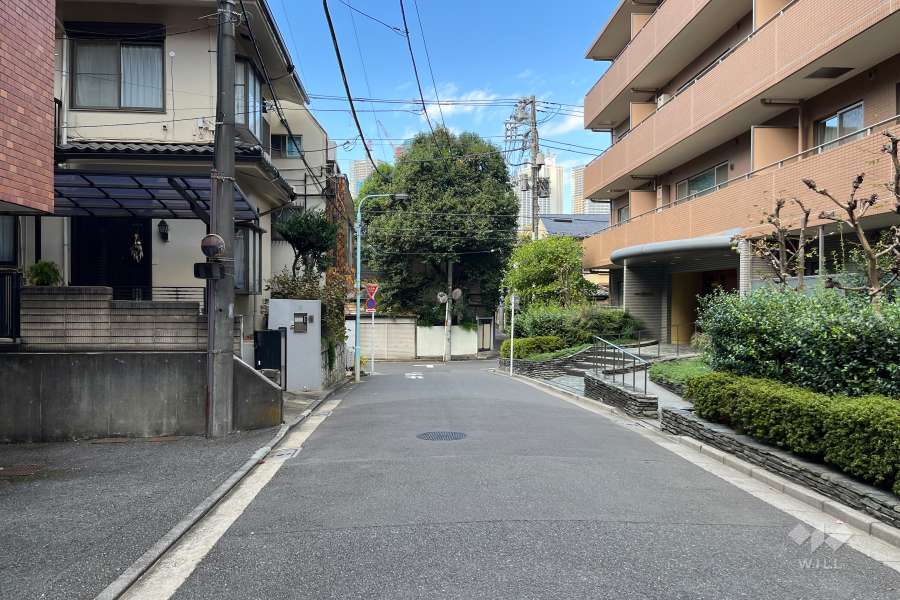 敷地の西側前面道路（南側から）