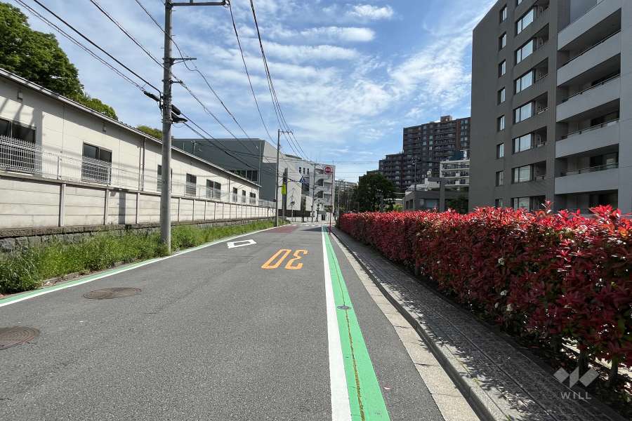 敷地北側の前面道路