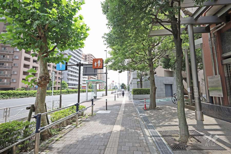 敷地東北東側の前面道路（北西側から）