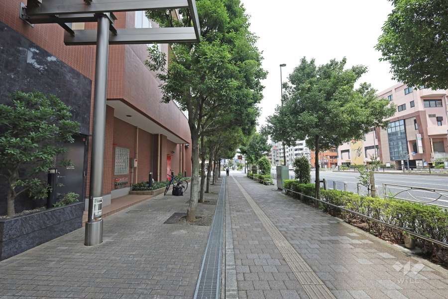敷地北東側の前面道路（南東側から）
