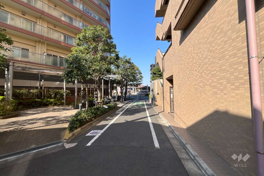 敷地北西側の前面道路（北東側から）