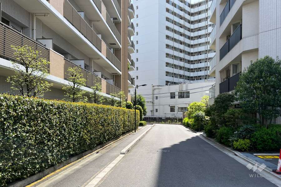 敷地西側の前面道路