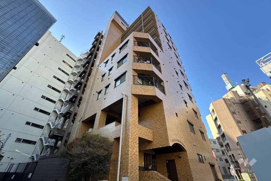 ライオンズマンション南大塚の外観（北側から）