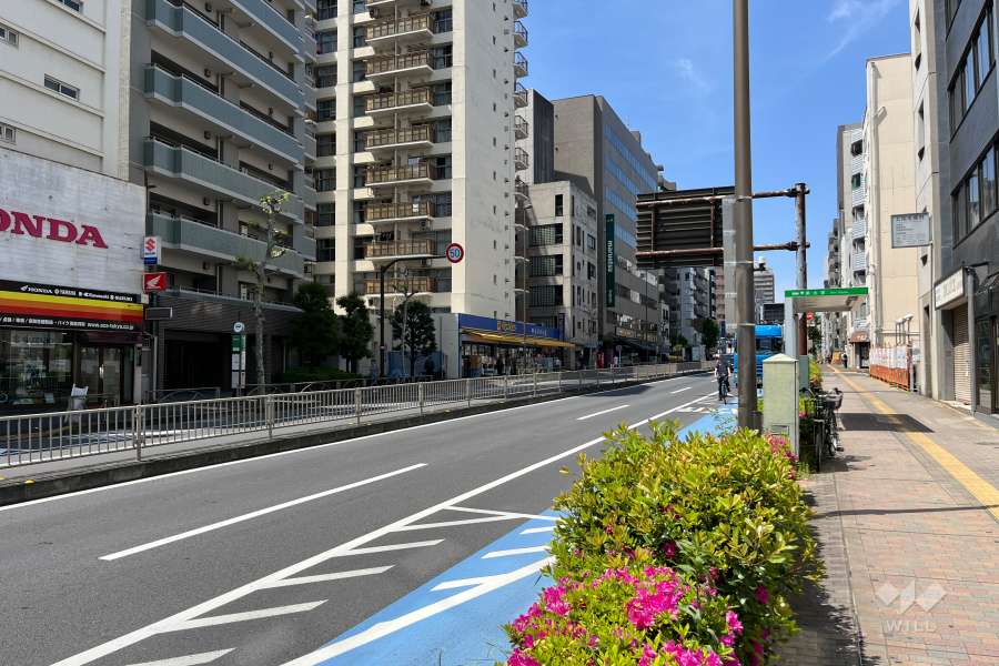 敷地の北東側前面道路（南東側から）