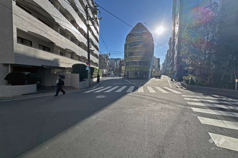 敷地の南側前面道路（西側から）