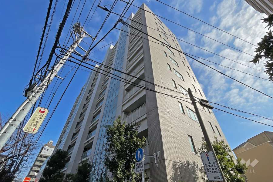グランドメゾン西巣鴨の外観（北西側から）