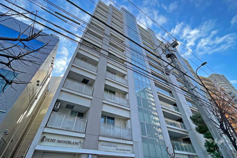 グランドメゾン西巣鴨の外観（北東側から）