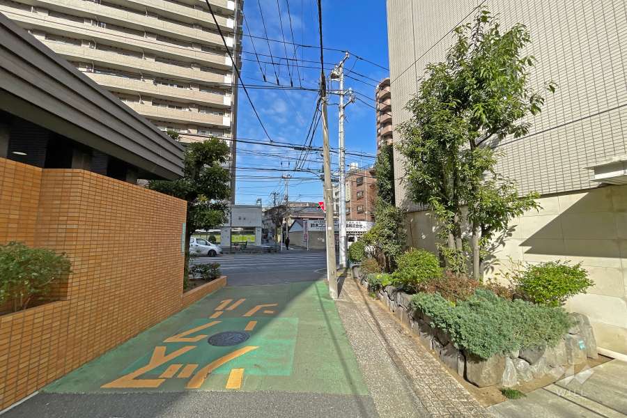 敷地の南西側前面道路（南東側から）