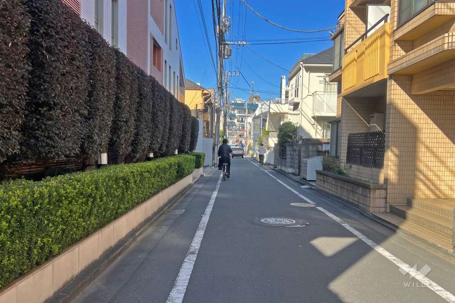 敷地の東側前面道路（南側から）