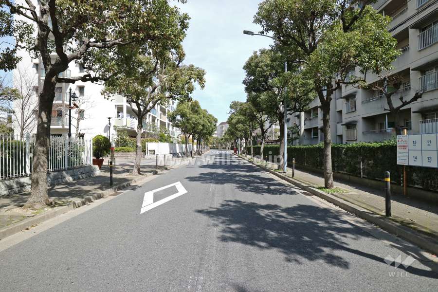 敷地南東側の前面道路。街路樹が綺麗に整備されたバス通りです。