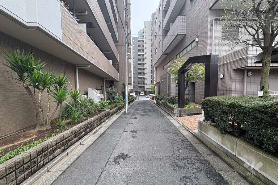 敷地南西側の前面道路