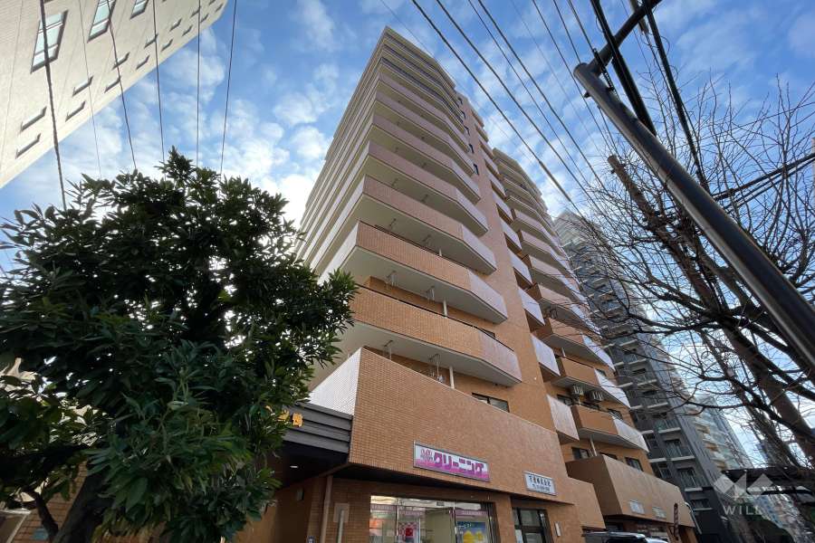 ダイアパレス西巣鴨の外観（北東側から）