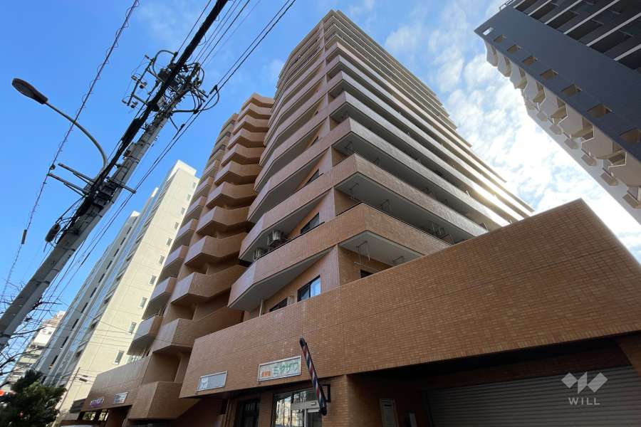 ダイアパレス西巣鴨の外観（西側から）