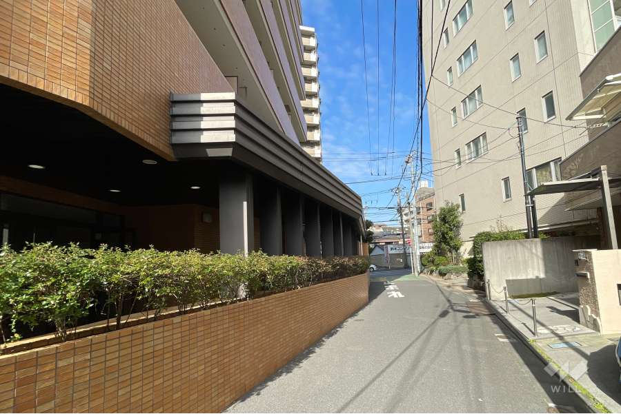 敷地の北東側前面道路（南東側から）