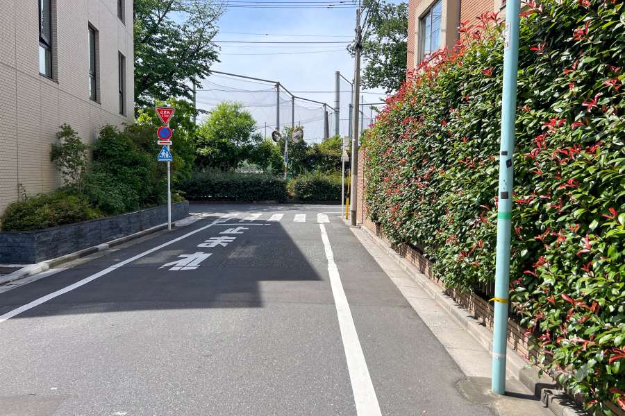 敷地南西側の前面道路（南東側から）
