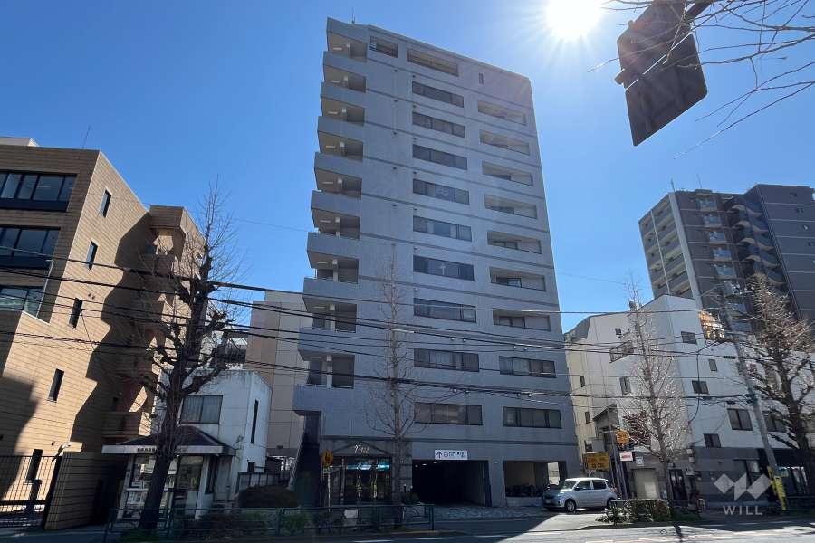 ヴェルドミール西巣鴨の外観（北西側から）