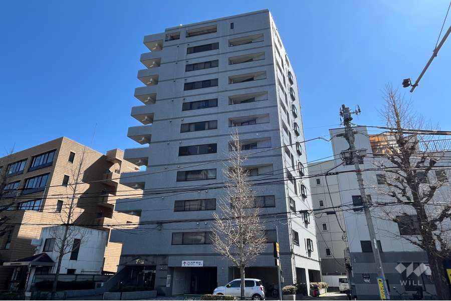 ヴェルドミール西巣鴨の外観（西側から）