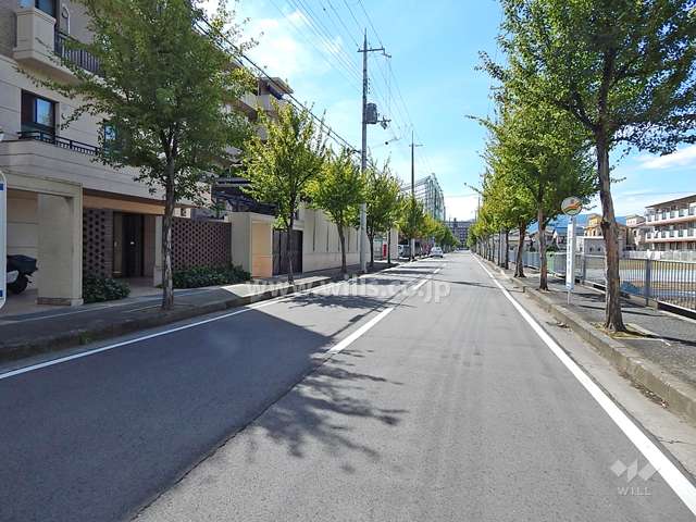 敷地北側の前面道路