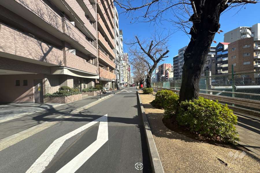 敷地の南東側前面道路（南西側から）