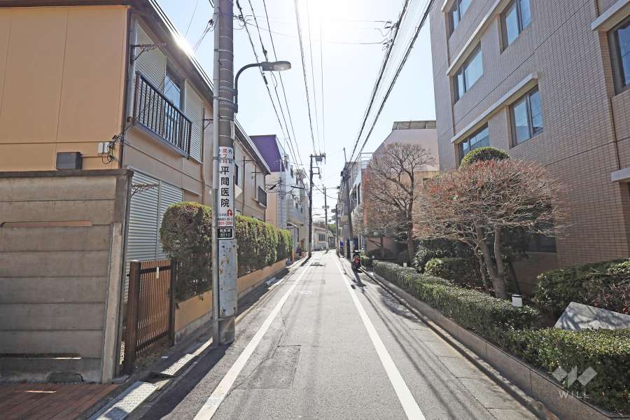 敷地東側の前面道路（北側から）