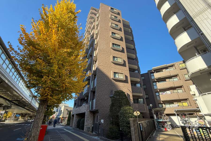 ドラゴンマンション池袋壱番館の外観（南側から）