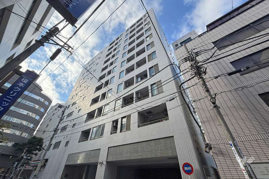 イトーピア池袋メトロポリタンの外観（北東側から）