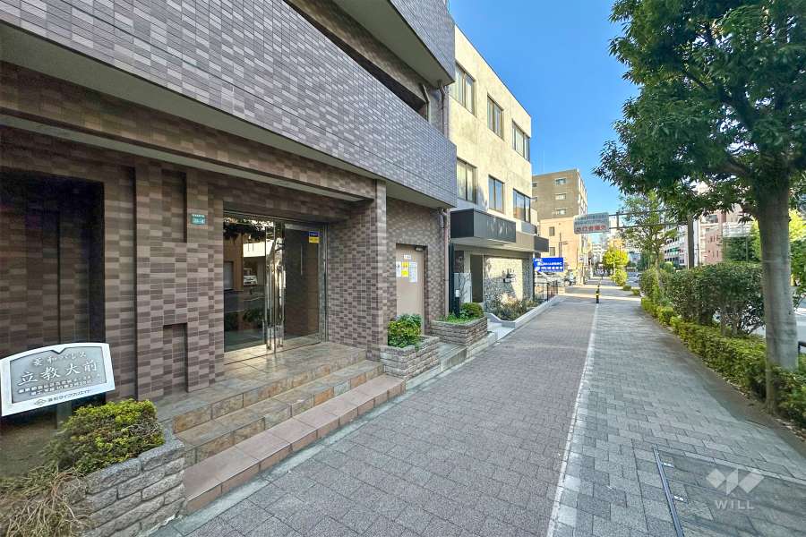 敷地南側の前面道路（西側から）