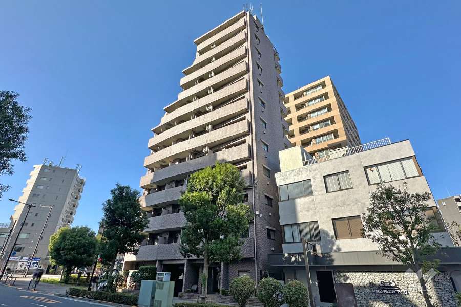 菱和パレス立教大前の外観（南東側から）