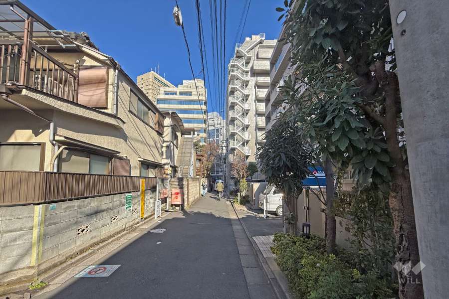 敷地の西側前面道路（南側から）