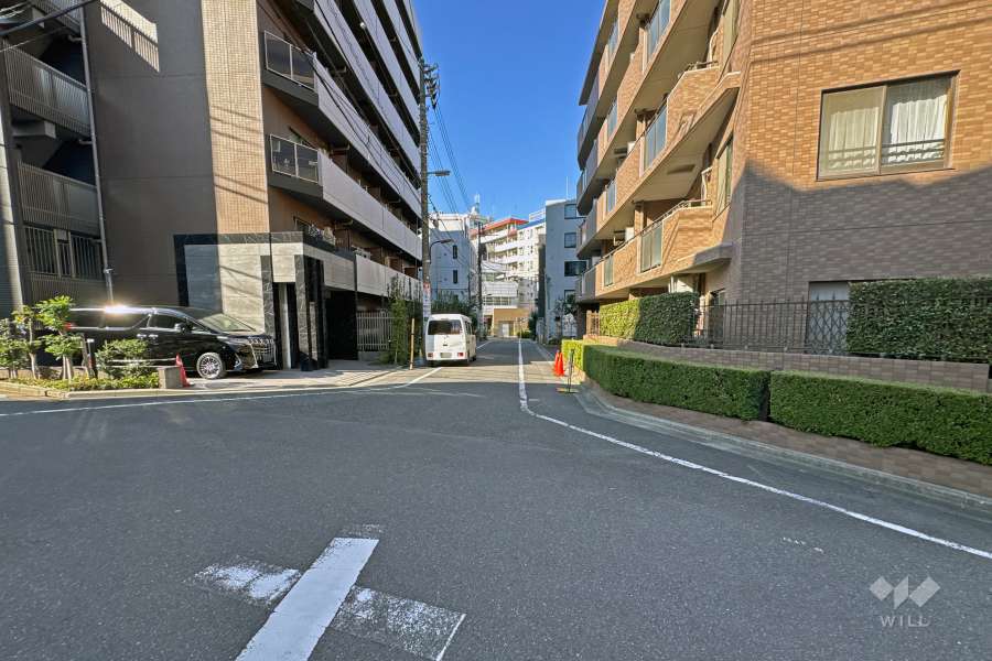 敷地の西側前面道路（南側から）