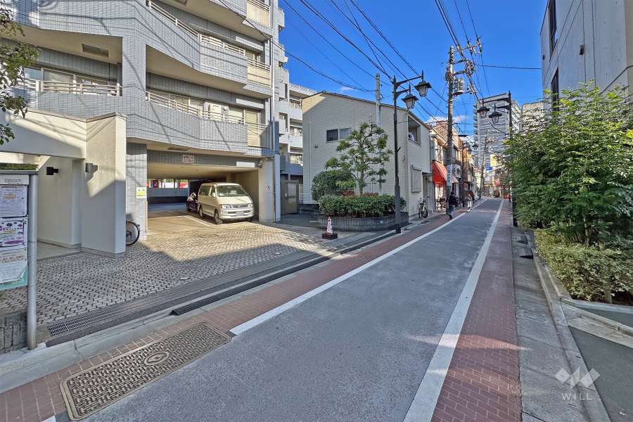 敷地の南側前面道路（西側から）